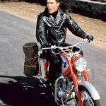 Elvis Presley Roustabout Biker Jacket
