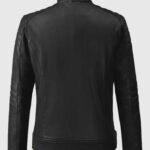 Firefly Moto Black Biker Leather Jacket